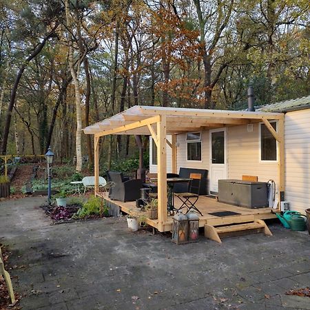 Chalet Met Veranda Aan Bosrand Vledder Ngoại thất bức ảnh
